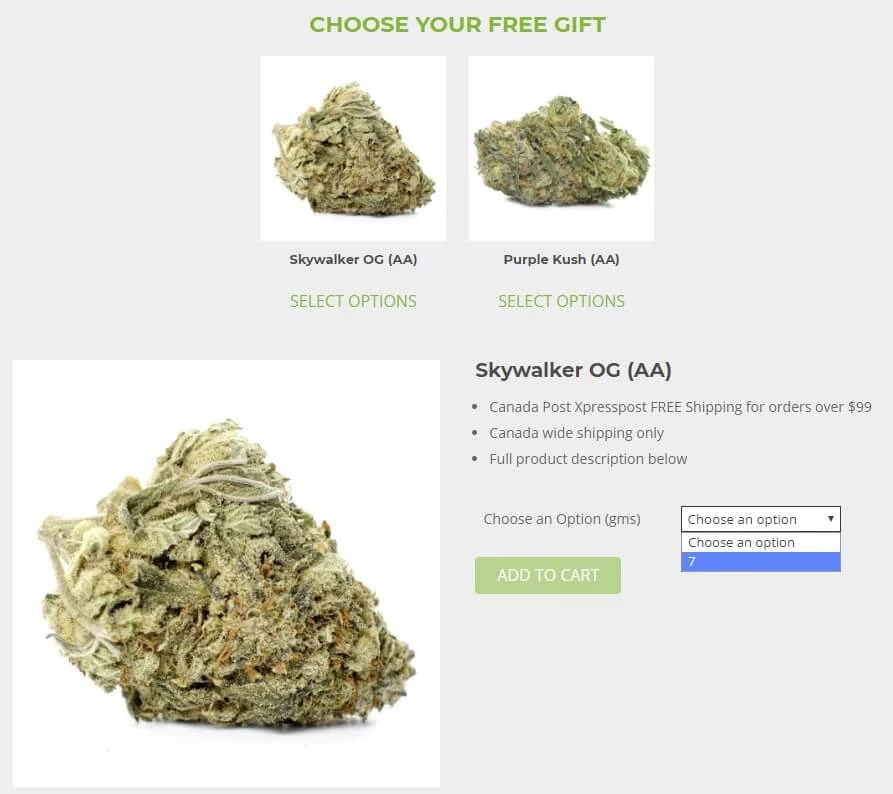 Free Gifts