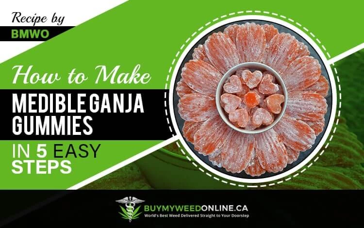 https://buymyweedonline.cc/wp-content/w3-webp/uploads/2019/09/How-to-Make-Medible-Ganja-Gummies-in-5-Easy-Steps.jpgw3.webp