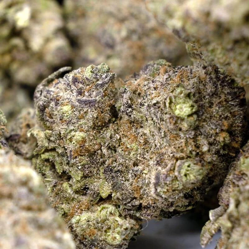 Black Mamba Strain