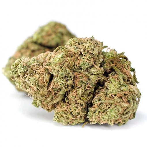 Amnesia Haze