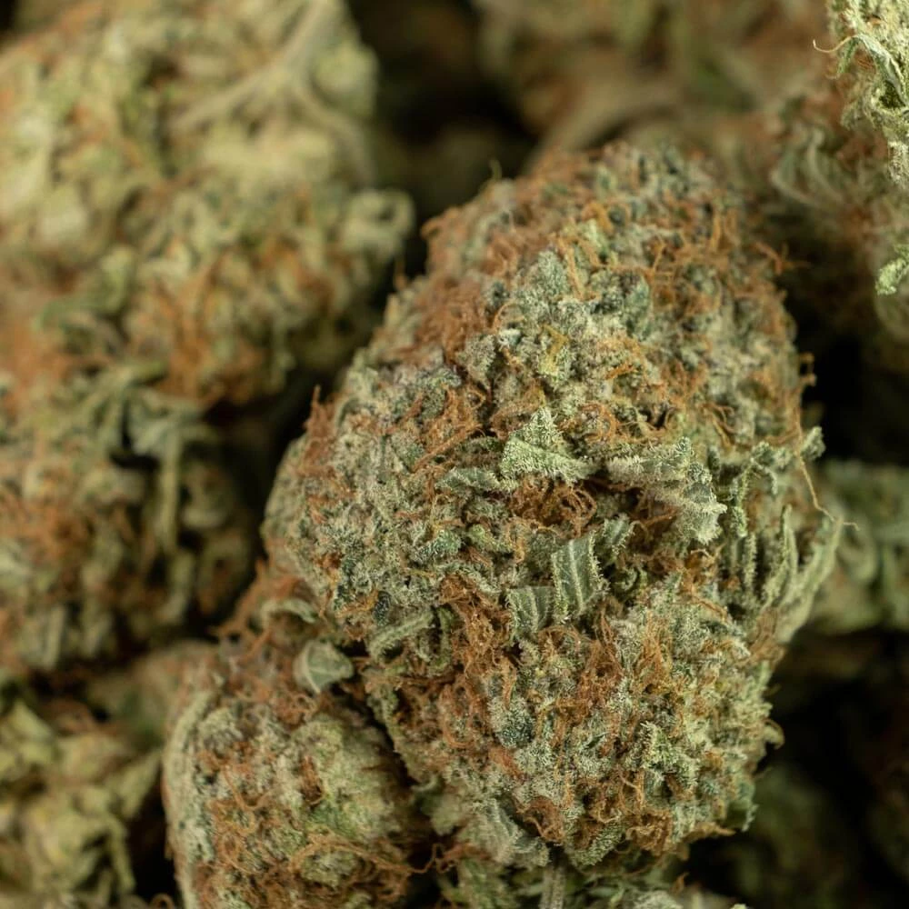 Tropic Thunder Strain