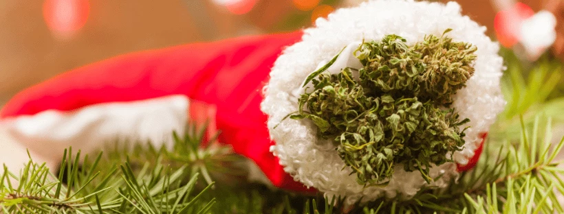 Spending Christmas Alone