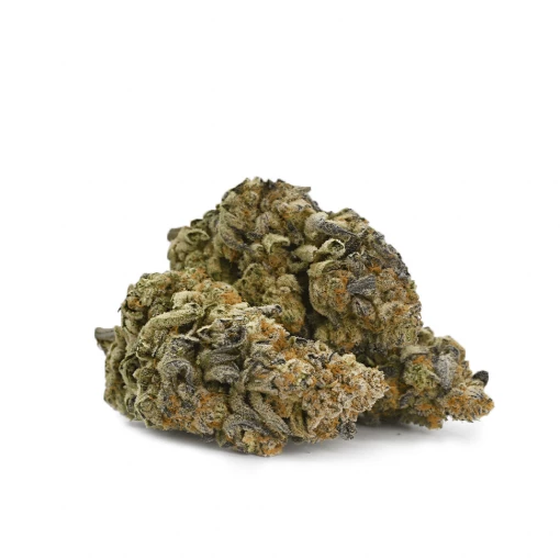 Mendo Breath &#8211; Thunder Buddies