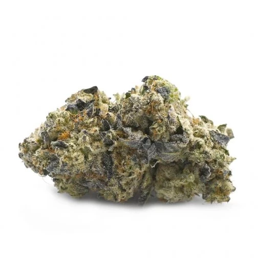 Mimosa &#8211; Thunder Buddies