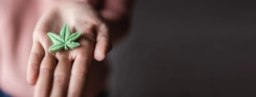A HANDY GUIDE TO CONSUMING CANNABIS IN EUROPE 3 Consuming Cannabis In Spain