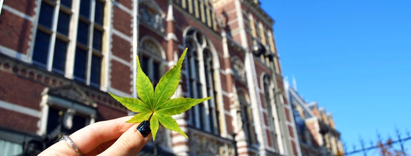 A HANDY GUIDE TO CONSUMING CANNABIS IN EUROPE 2 Consuming Cannabis In The Netherlands