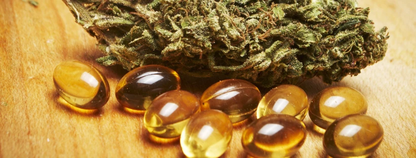 THE ULTIMATE GUIDE TO THC PILLS 3 THC Pills vs. CBD Pills