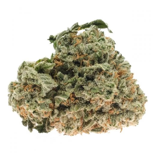 Gold Kush