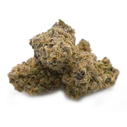 Cookies and Cream &#8211; Thunder Buddies